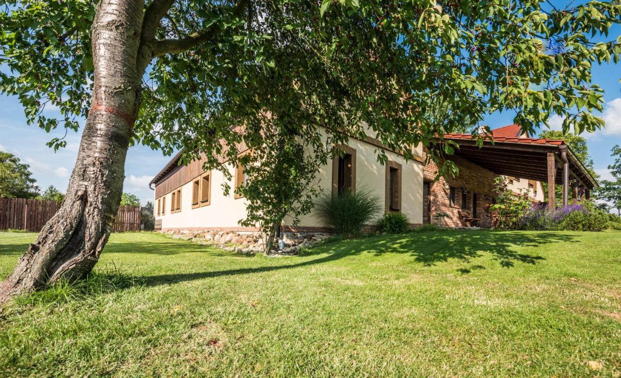 Penzion U Lisky Jarosov nad Nezarkou Dış mekan fotoğraf